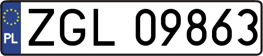 ZGL09863