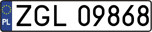 ZGL09868
