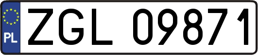 ZGL09871