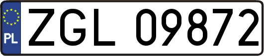 ZGL09872