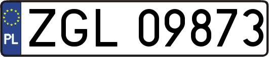 ZGL09873