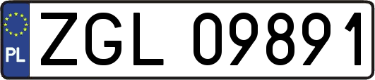 ZGL09891