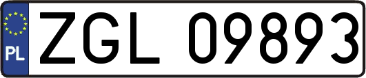 ZGL09893