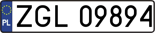 ZGL09894
