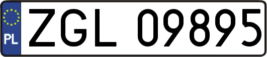 ZGL09895