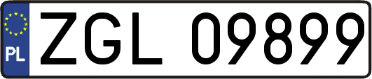 ZGL09899