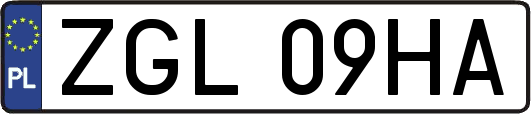 ZGL09HA