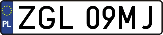 ZGL09MJ