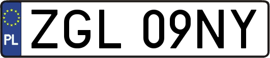 ZGL09NY