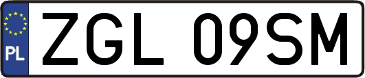 ZGL09SM