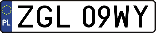 ZGL09WY