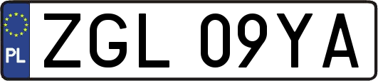 ZGL09YA