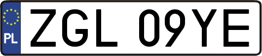 ZGL09YE