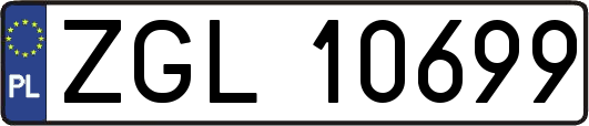 ZGL10699