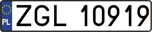 ZGL10919