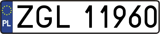 ZGL11960