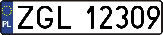 ZGL12309