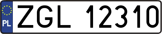 ZGL12310