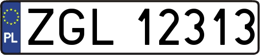 ZGL12313