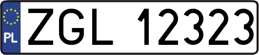 ZGL12323