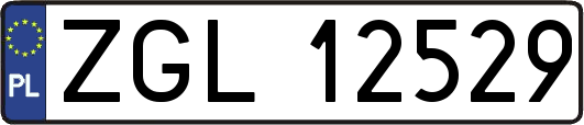 ZGL12529