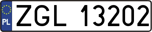ZGL13202