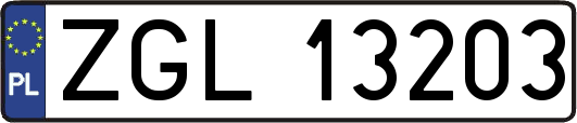 ZGL13203