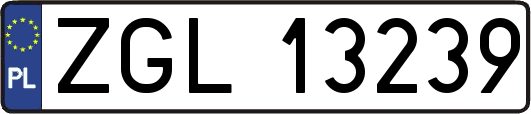 ZGL13239