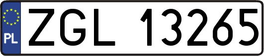 ZGL13265