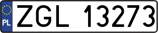 ZGL13273