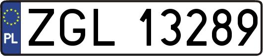 ZGL13289