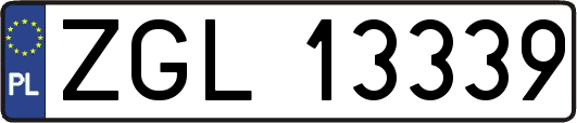 ZGL13339