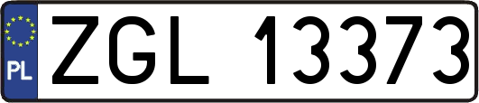ZGL13373