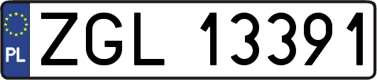 ZGL13391