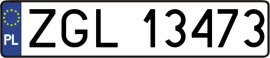 ZGL13473
