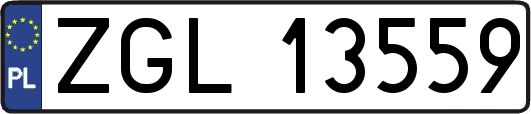 ZGL13559