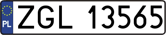 ZGL13565