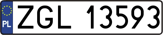 ZGL13593