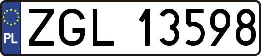 ZGL13598