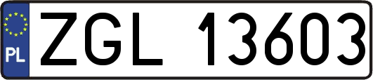 ZGL13603