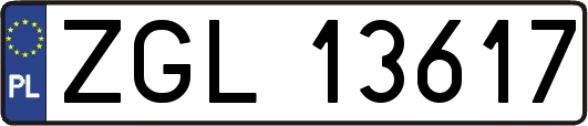 ZGL13617