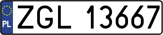 ZGL13667