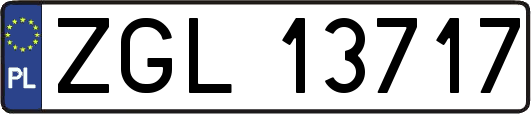 ZGL13717