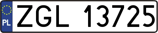 ZGL13725