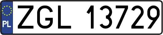 ZGL13729