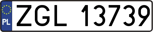 ZGL13739