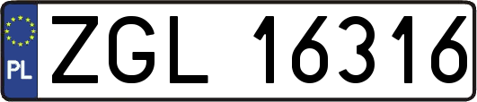 ZGL16316