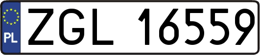 ZGL16559