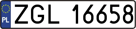 ZGL16658