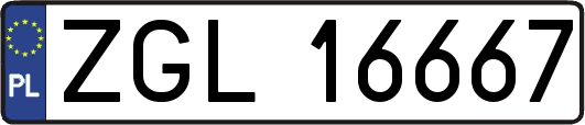 ZGL16667